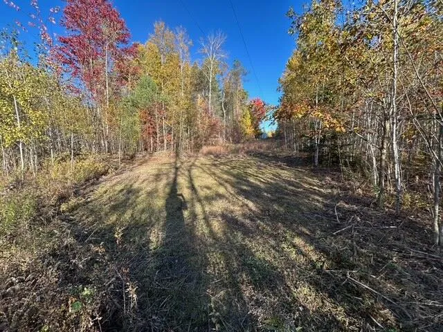 $95,000 | 9 9 Mile Road, Reed City, MI 49677