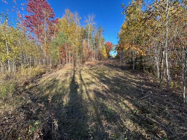 9 9 Mile Road Reed City, MI 49677 - Photo 9 of 49 image5