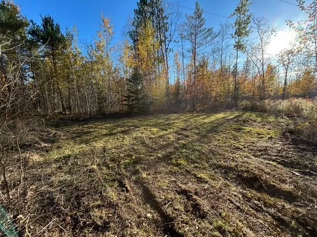 $95,000 | 9 9 Mile Road, Reed City, MI 49677