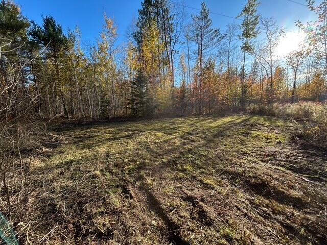 9 9 Mile Road Reed City, MI 49677 - Photo 10 of 49 image8