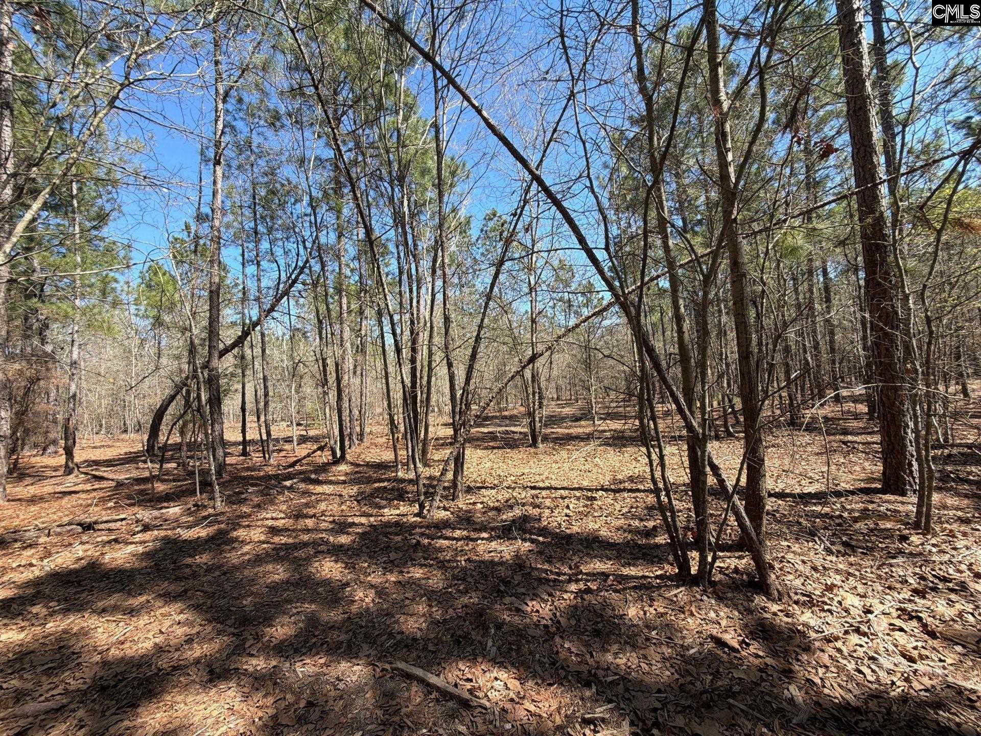 13 Boise Cascade Road, Unit BHL 13 Bethune, SC 29009 - Photo 14 of 31