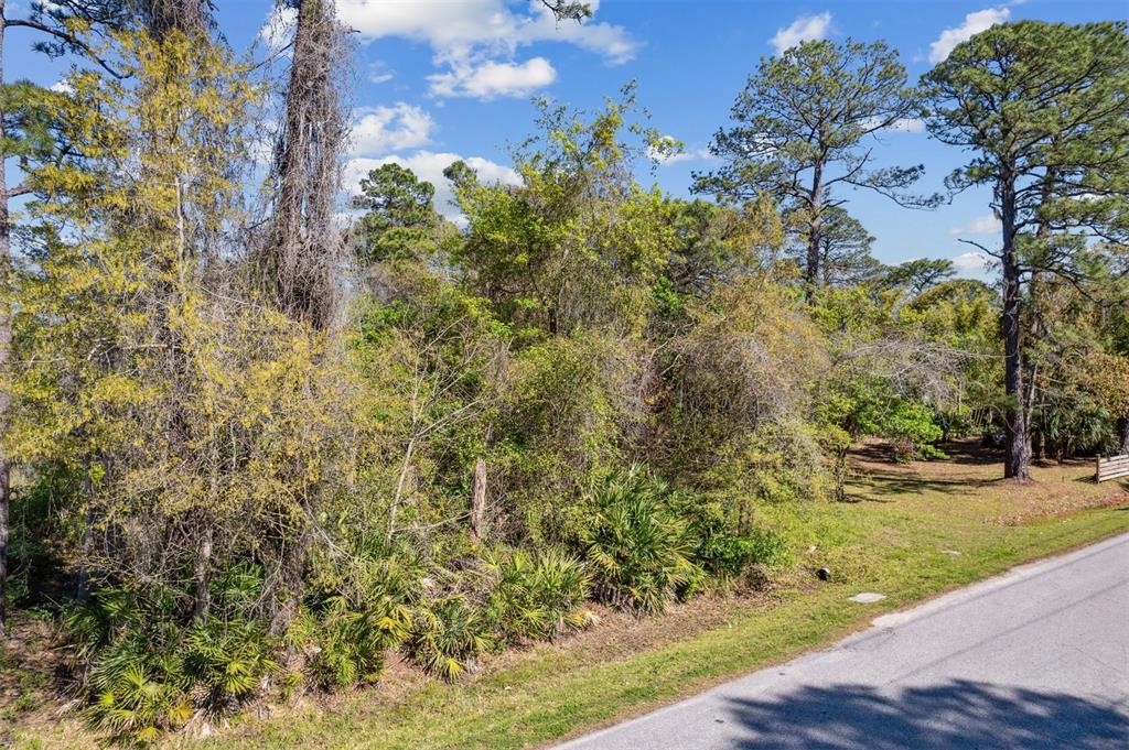 2098 Friendly Road Fernandina Beach, FL 32034 - Photo 14 of 37 Gallery Image 14