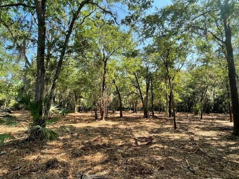 2098 Friendly Road Fernandina Beach, FL 32034 - Photo 17 of 37 Gallery Image 17