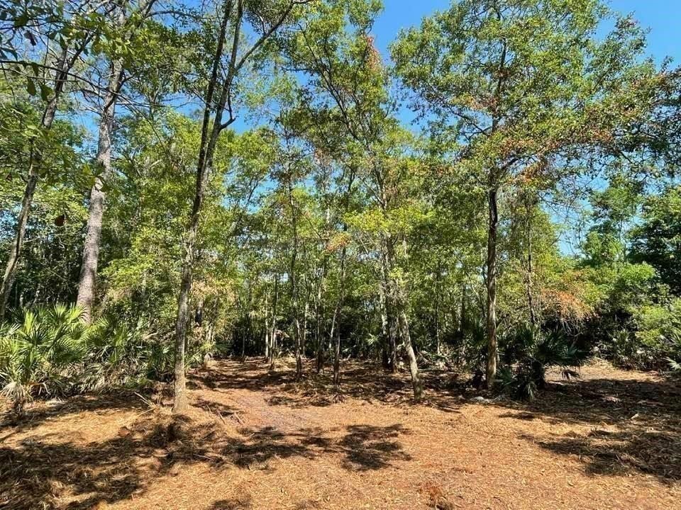 2098 Friendly Road Fernandina Beach, FL 32034 - Photo 18 of 37 Gallery Image 18