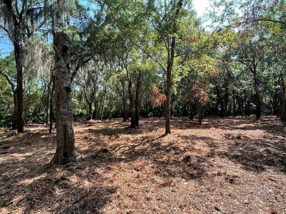 2098 Friendly Road Fernandina Beach, FL 32034 - Photo 19 of 37 Gallery Image 19