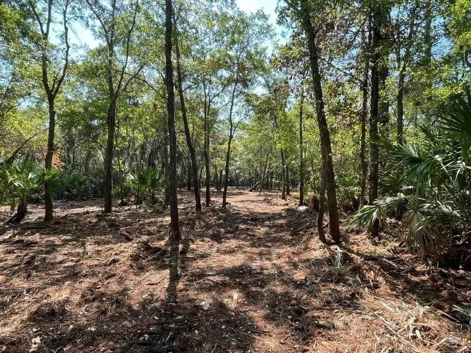 2098 Friendly Road Fernandina Beach, FL 32034 - Photo 20 of 37 Gallery Image 20