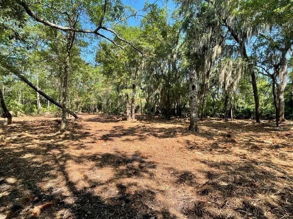 2098 Friendly Road Fernandina Beach, FL 32034 - Photo 2 of 37 Gallery Image 2
