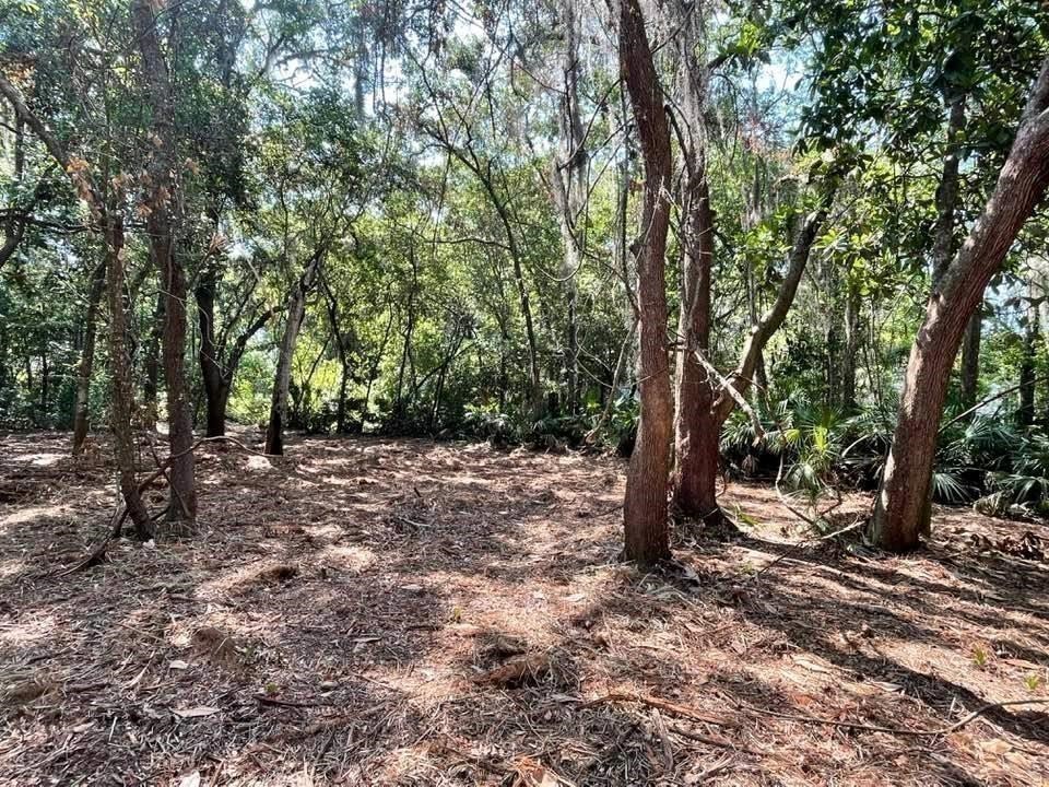 2098 Friendly Road Fernandina Beach, FL 32034 - Photo 23 of 37 Gallery Image 23