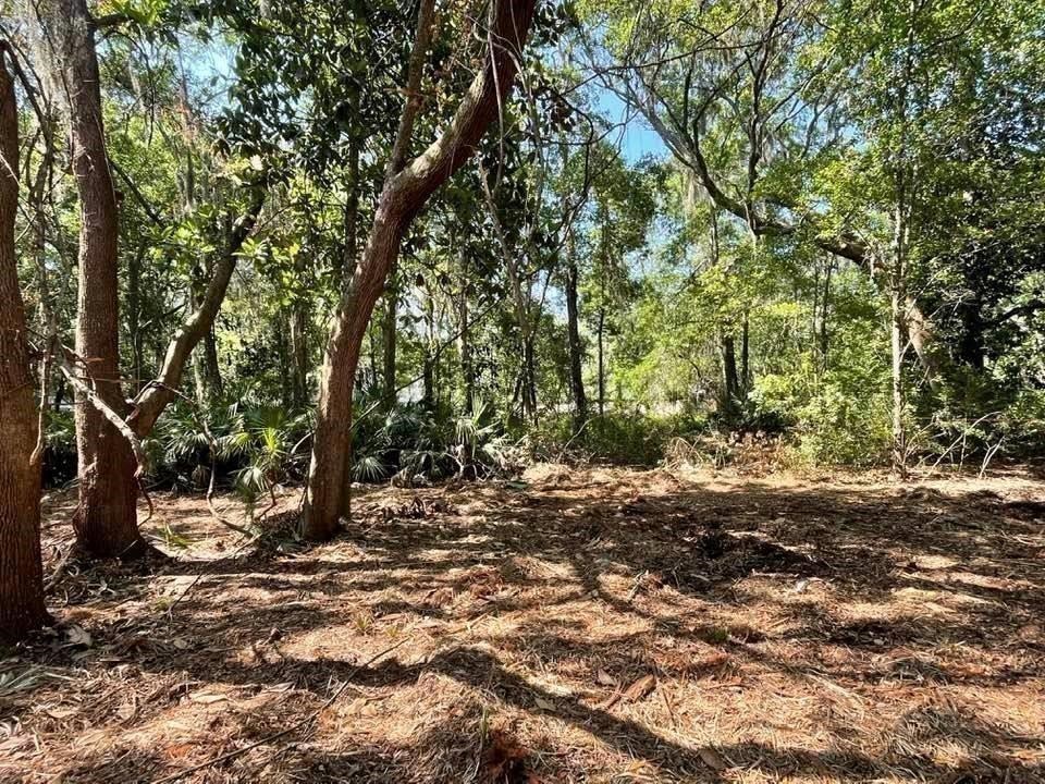 2098 Friendly Road Fernandina Beach, FL 32034 - Photo 24 of 37 Gallery Image 24