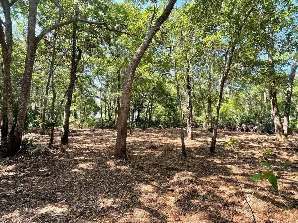 2098 Friendly Road Fernandina Beach, FL 32034 - Photo 26 of 37 Gallery Image 26