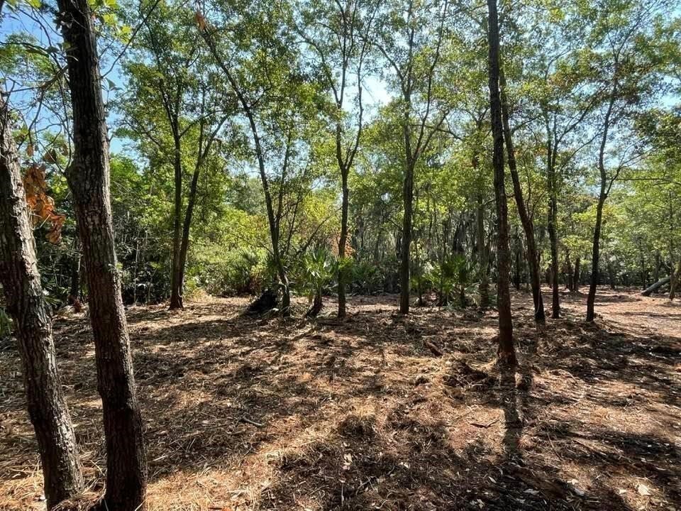 2098 Friendly Road Fernandina Beach, FL 32034 - Photo 29 of 37 Gallery Image 29