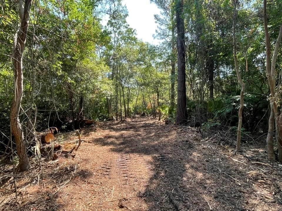 2098 Friendly Road Fernandina Beach, FL 32034 - Photo 30 of 37 Gallery Image 30