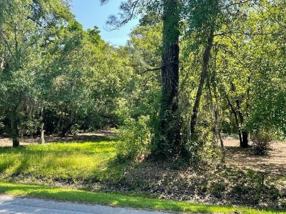 2098 Friendly Road Fernandina Beach, FL 32034 - Photo 31 of 37 Gallery Image 31