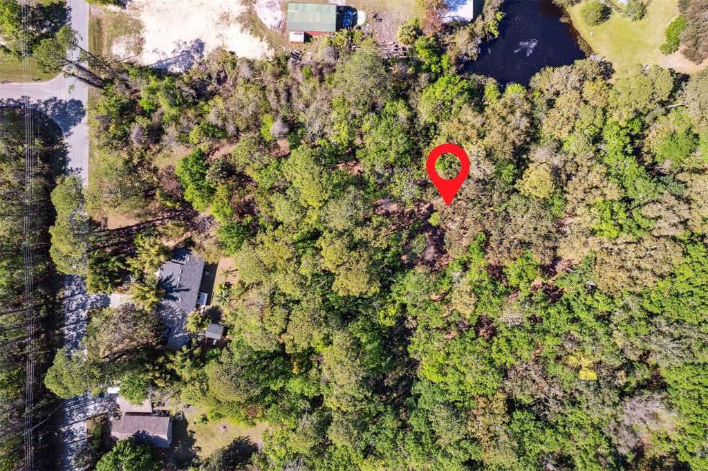 2098 Friendly Road Fernandina Beach, FL 32034 - Photo 10 of 37 Gallery Image 10