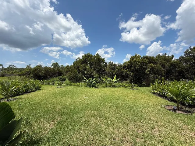 a view of a swimming pool with a lawn chairs and palm tree