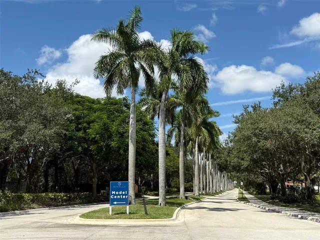 a view of a yard with large trees