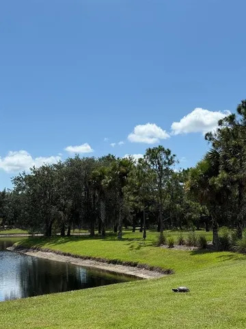 a view of a yard with palm trees