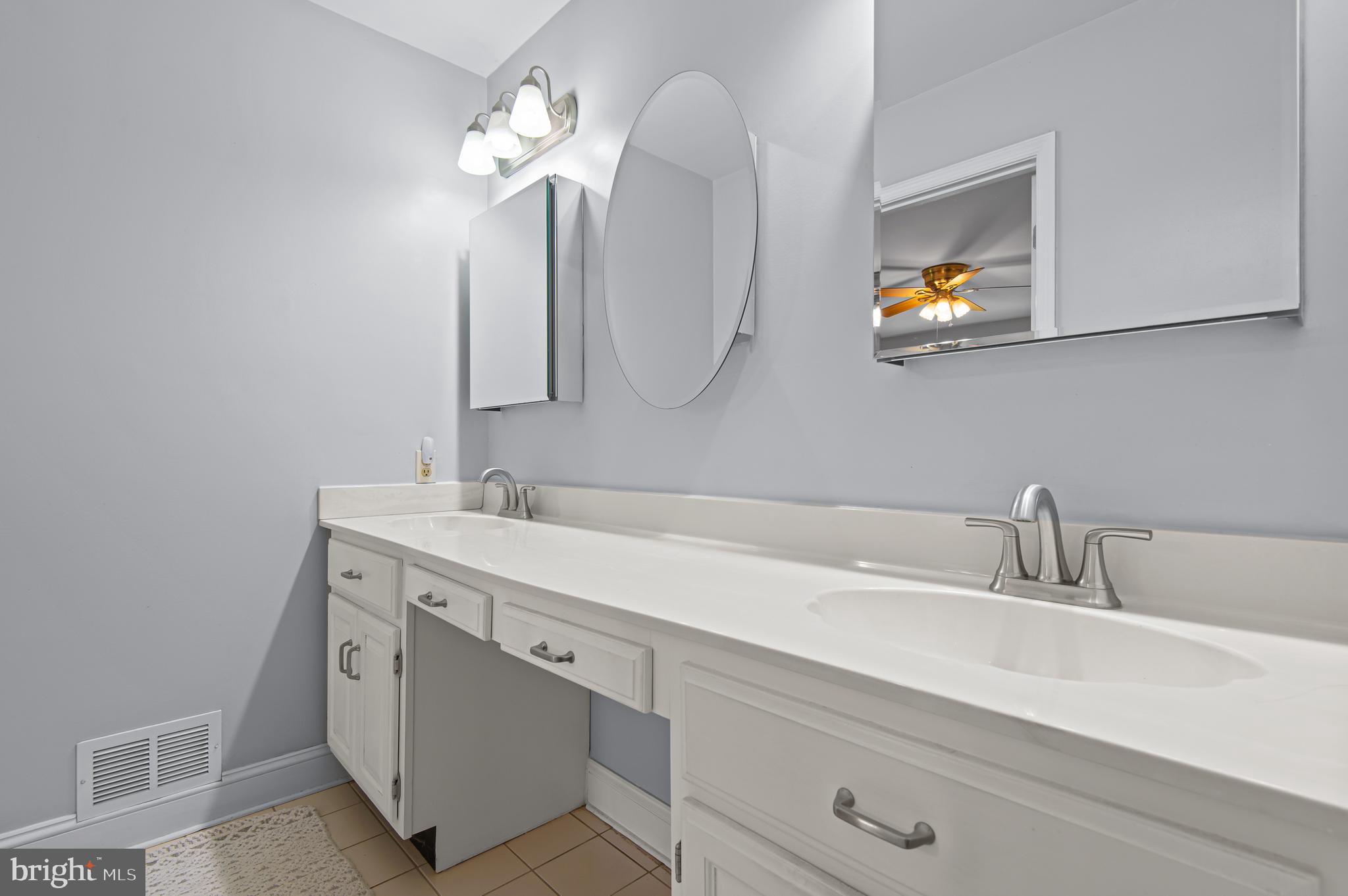 20000 Cameron Mill Road Parkton, MD 21120 - Photo 21 of 57 a bathroom with a sink and a mirror