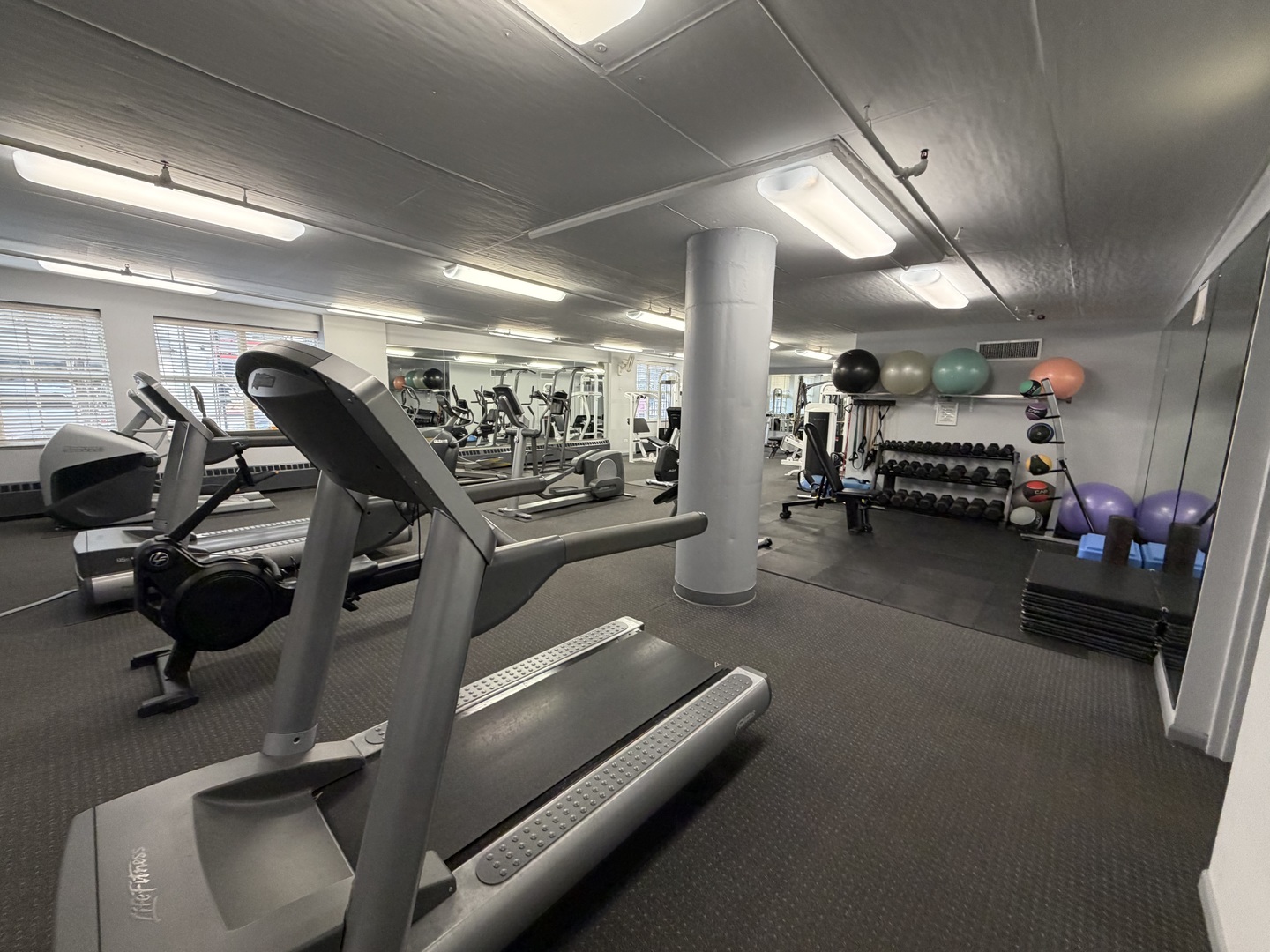 21 West Chestnut Street, Unit 1101 Chicago, IL 60610 - Photo 14 of 16 a view of gym