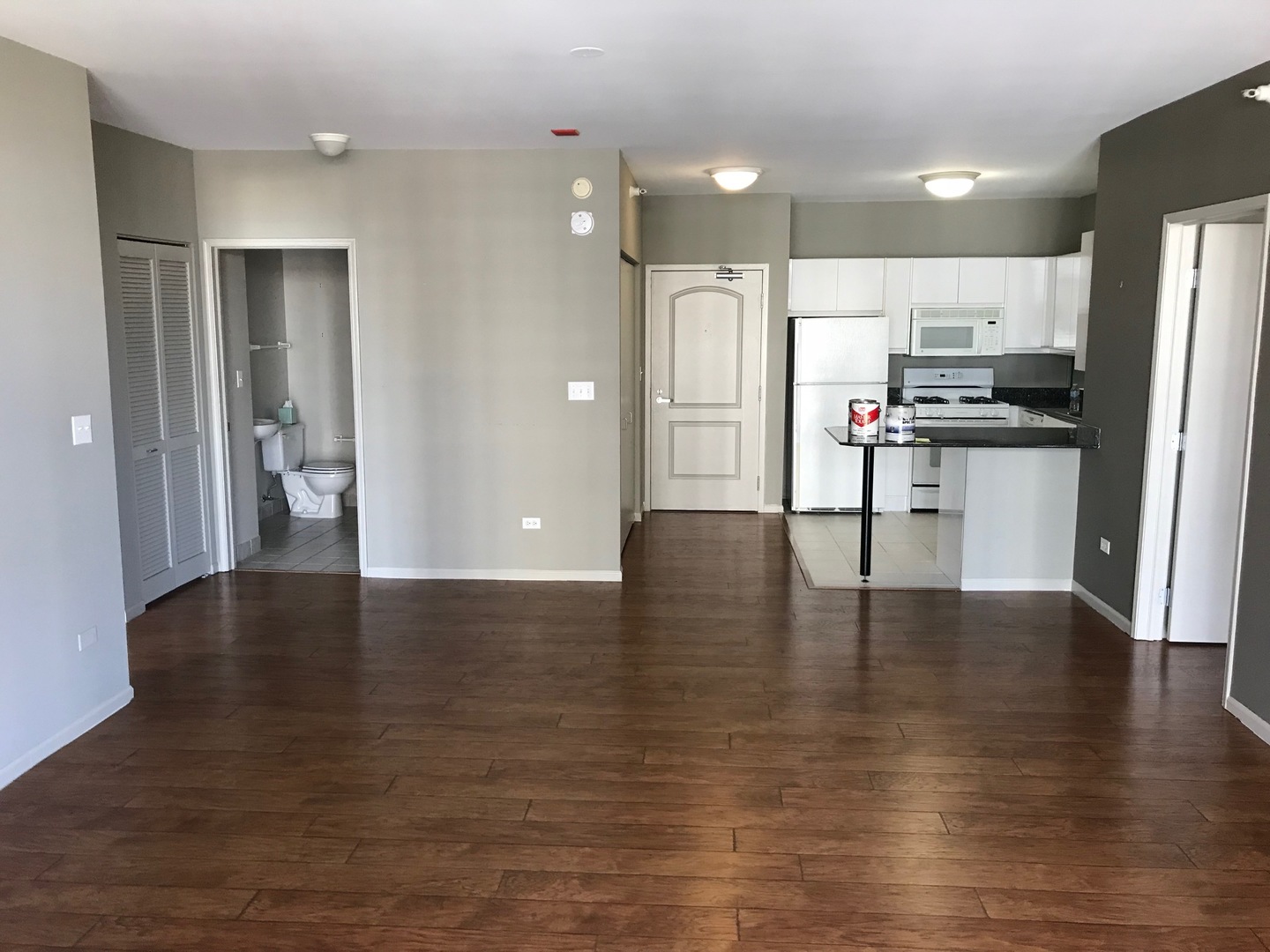 21 West Chestnut Street, Unit 1101 Chicago, IL 60610 - Photo 3 of 16 a view of kitchen with stainless steel appliances a refrigerator and wooden floor