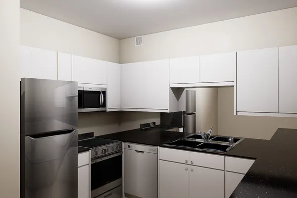 $3,900 | 21 West Chestnut Street, Unit 1101, Chicago, IL 60610