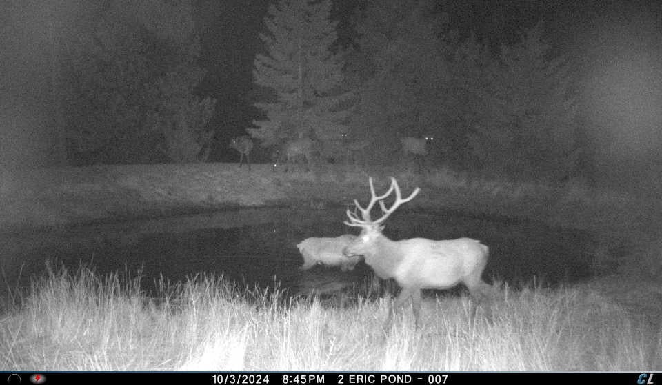 Franks Creek Road Monument, OR 97864 - Photo 16 of 29 IMG_1527