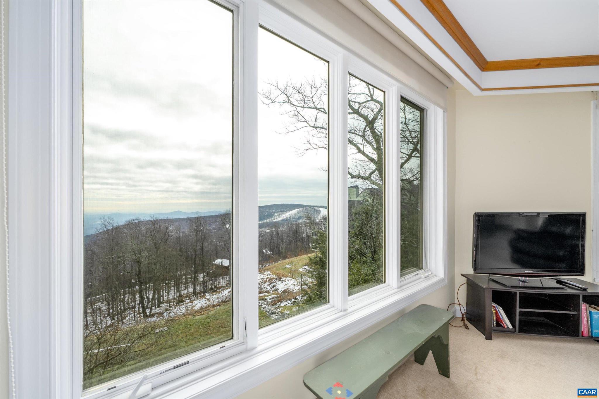 1802 High Ridge Roseland, VA 22967 - Photo 6 of 43