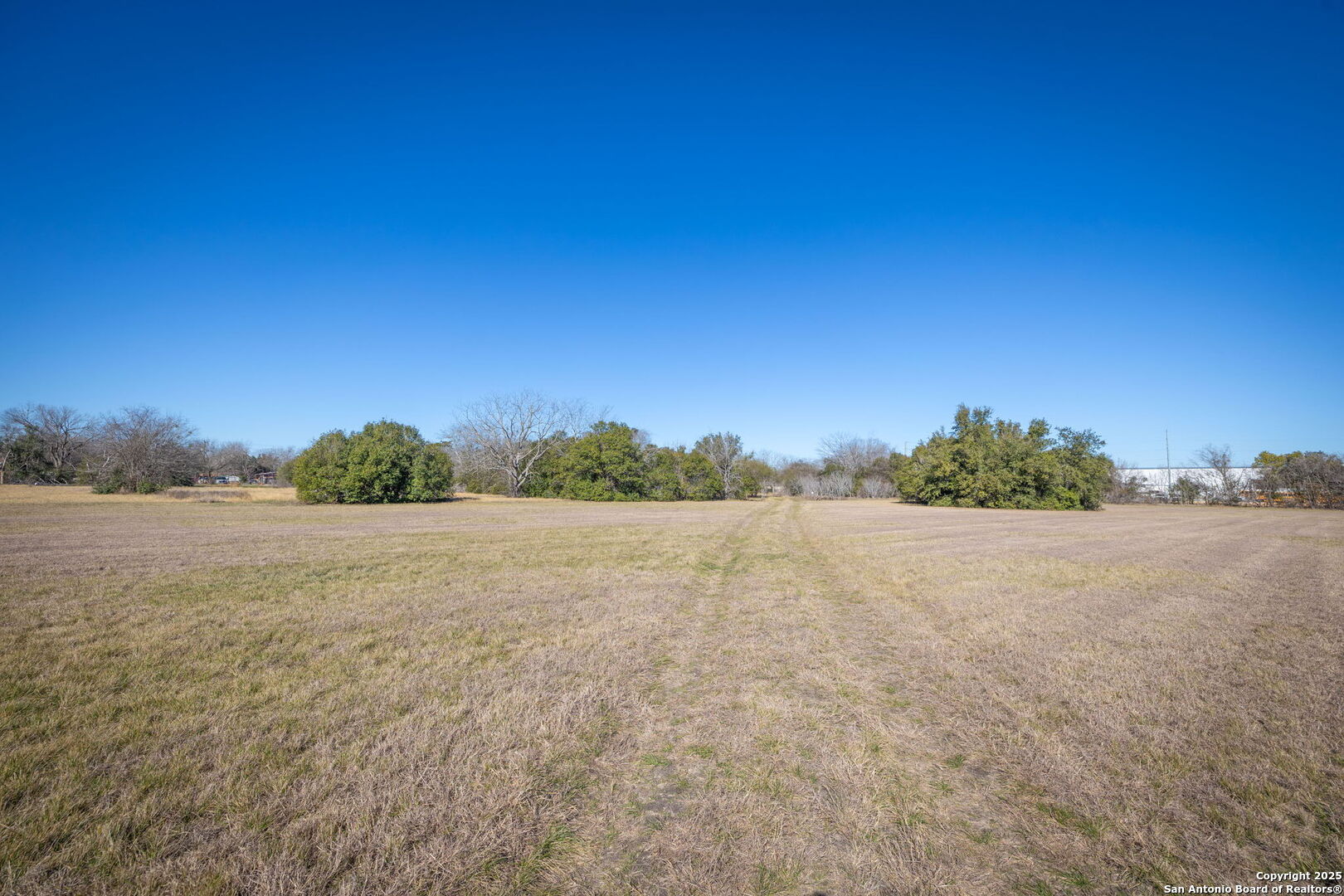 Tbd Tbd Pine East Seguin, TX 78155 - Photo 7 of 22