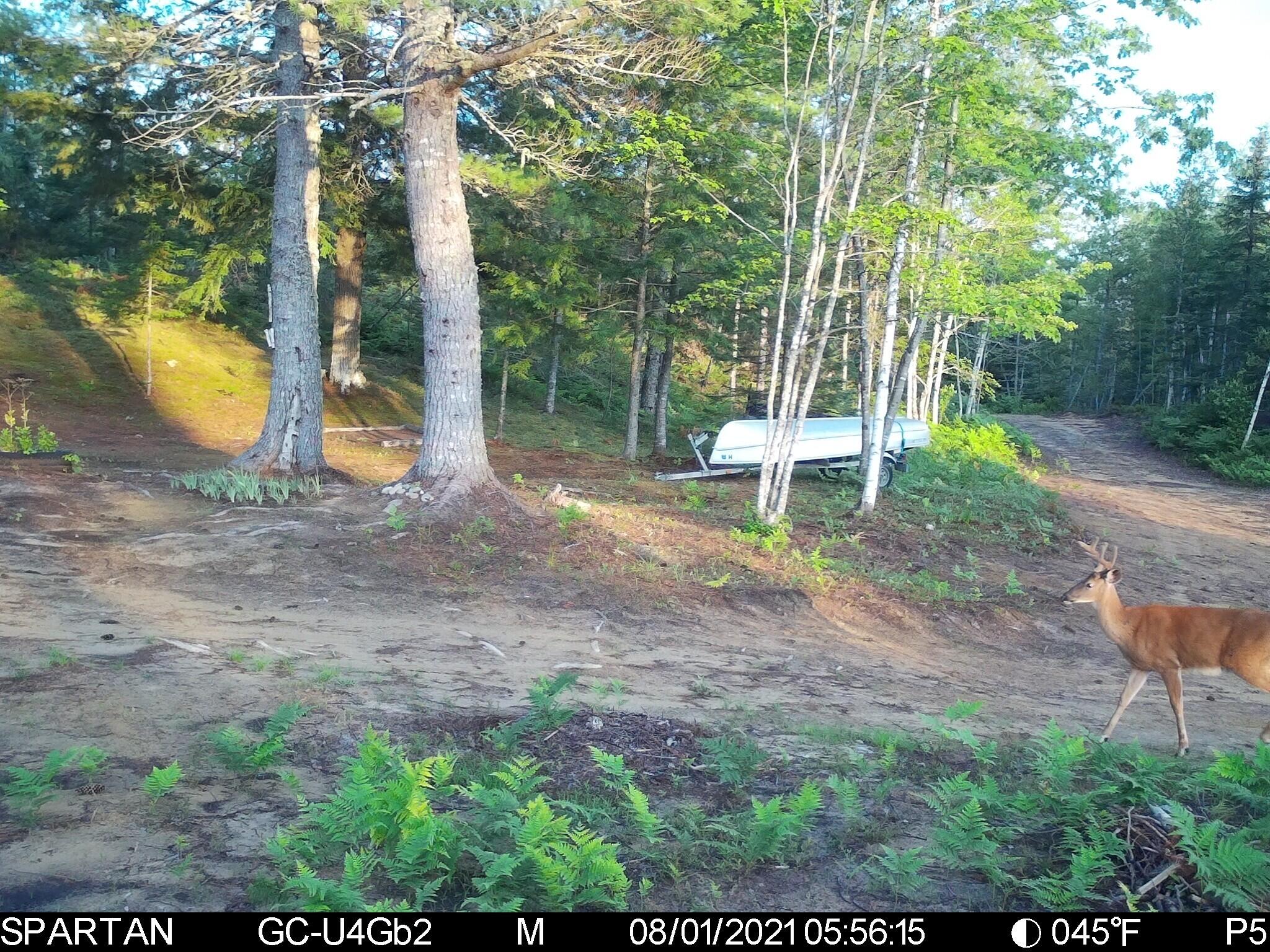 Lot 20 Town Farm Road Greenbush, ME 04418 - Photo 14 of 67 890215658 (1)