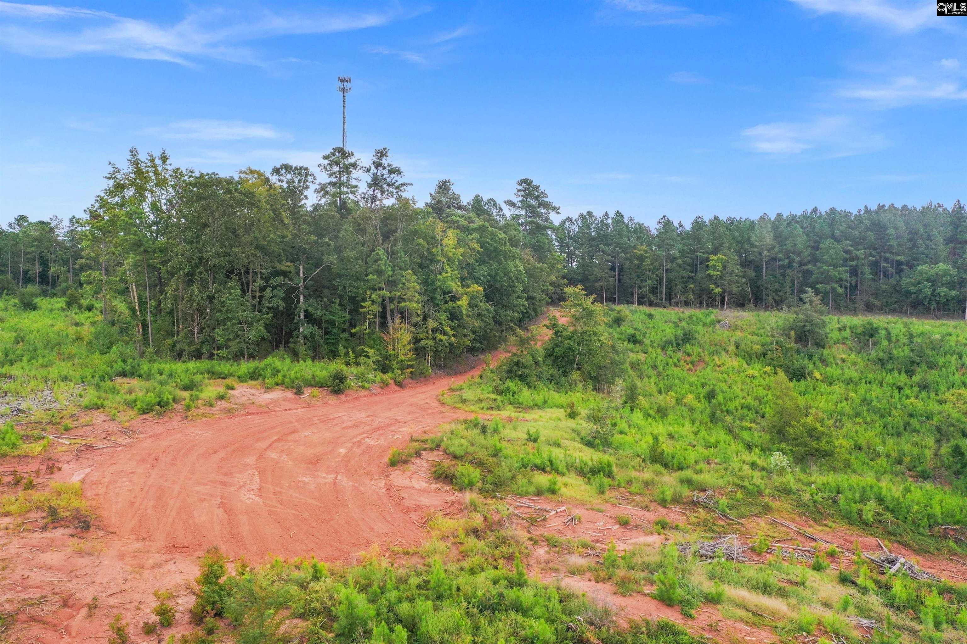 0 Penner Road, Unit 7 Jenkinsville, SC 29065 - Photo 12 of 36