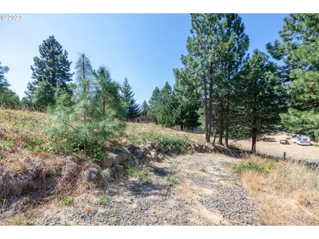 a view of a dry yard with trees in the background