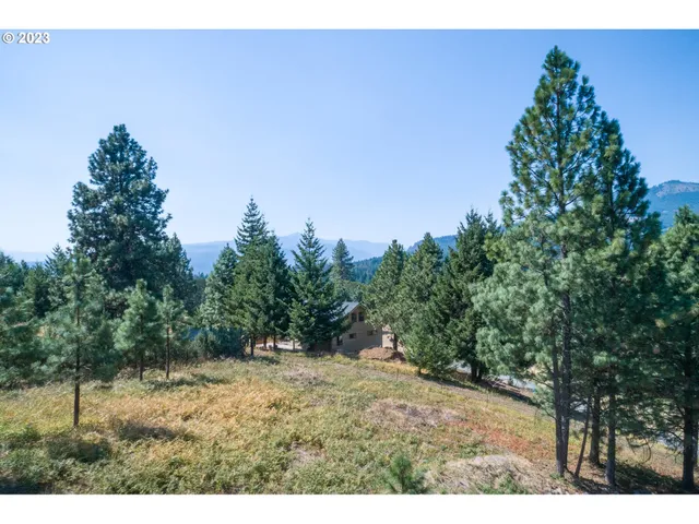 a view of outdoor space and yard