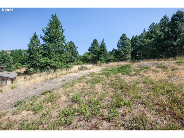 a view of a yard with a tree