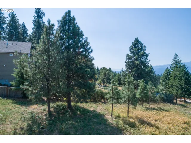 a view of outdoor space and yard