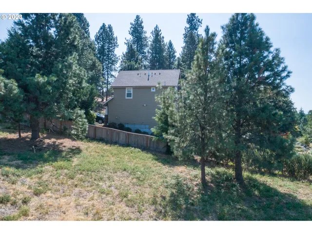 a view of a backyard