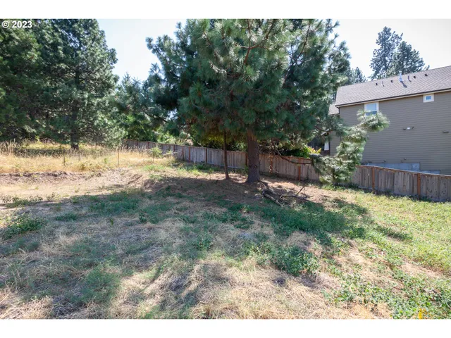 a view of backyard with green space