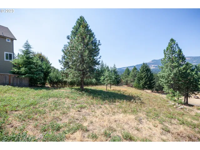 a backyard of a house with lots of green space