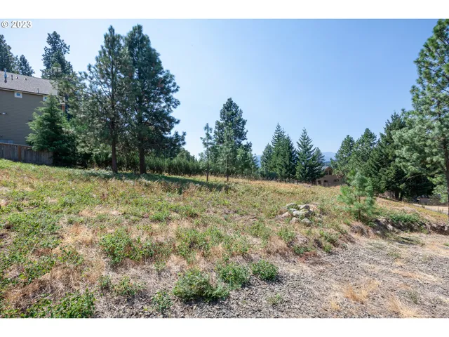 a view of backyard with green space