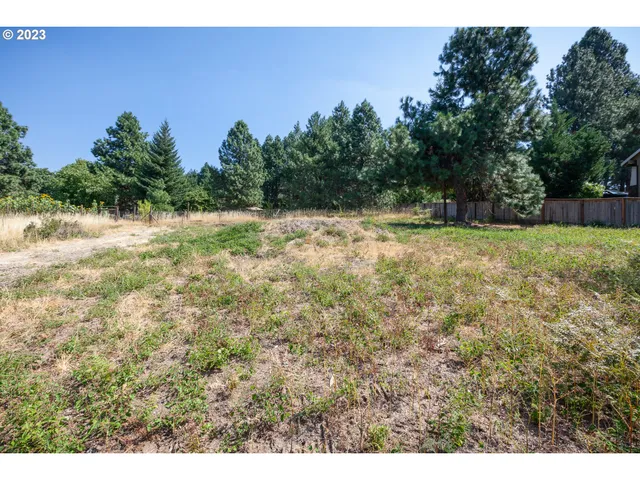 a view of a yard with an trees