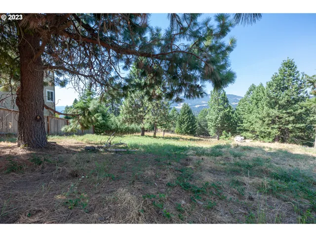 a view of a yard with a tree