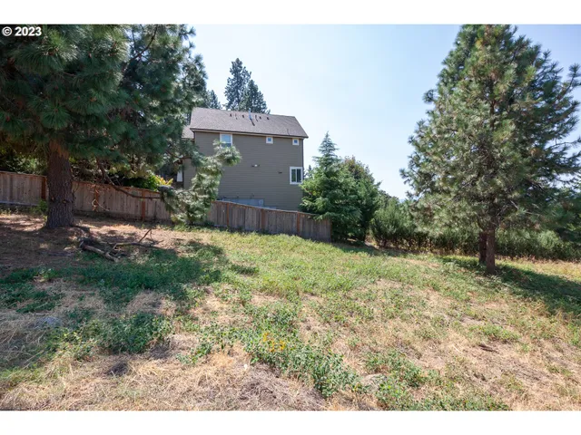 a view of a backyard