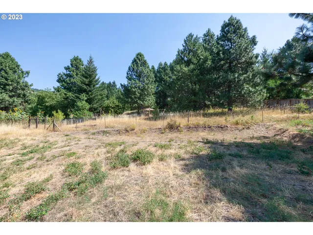 a view of a yard with trees in the background