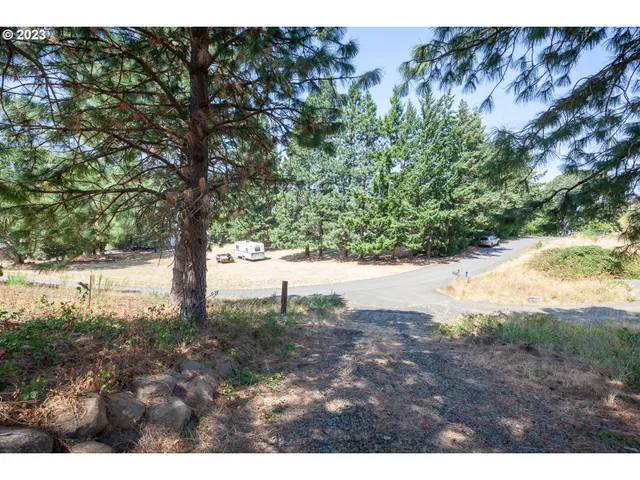 a view of a yard with a tree