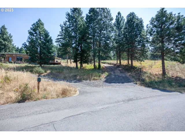 a view of a lake with trees
