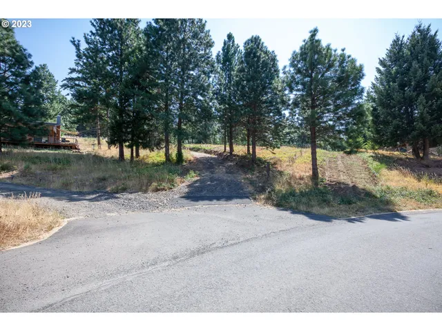 a view of a yard with plants and trees