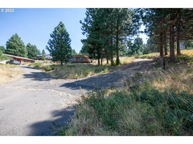 a view of a yard with swimming pool