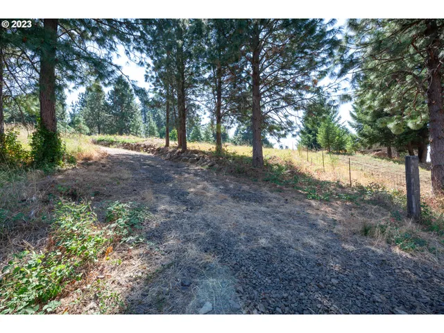 a view of a yard with a tree