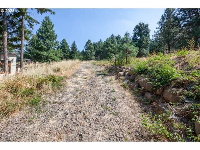a view of a yard with a tree