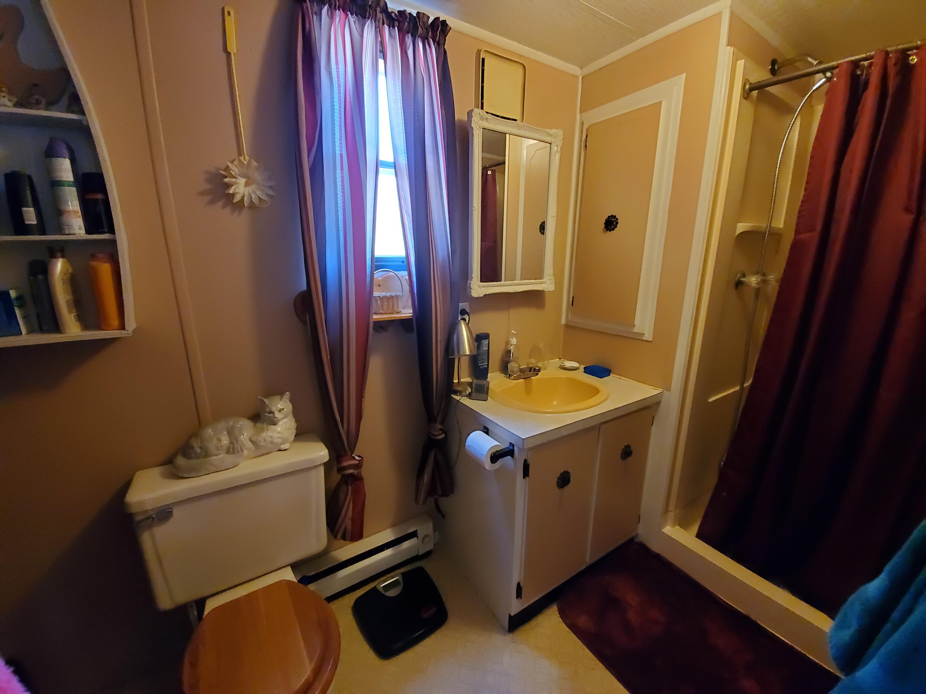 360 Half Township Road Lincoln, ME 04457 - Photo 19 of 36 Master bath