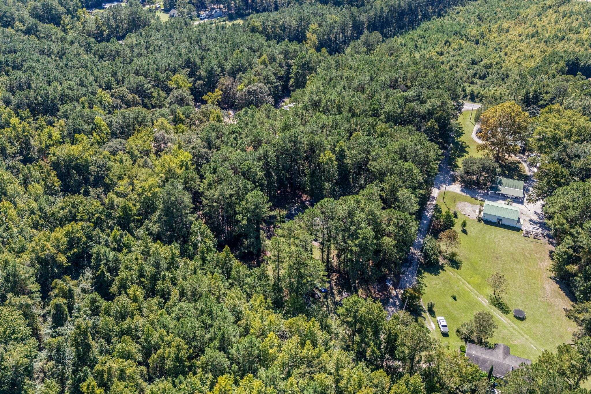 245 Bear Grass Road East Longs, SC 29568 - Photo 60 of 68 Gallery Image 60